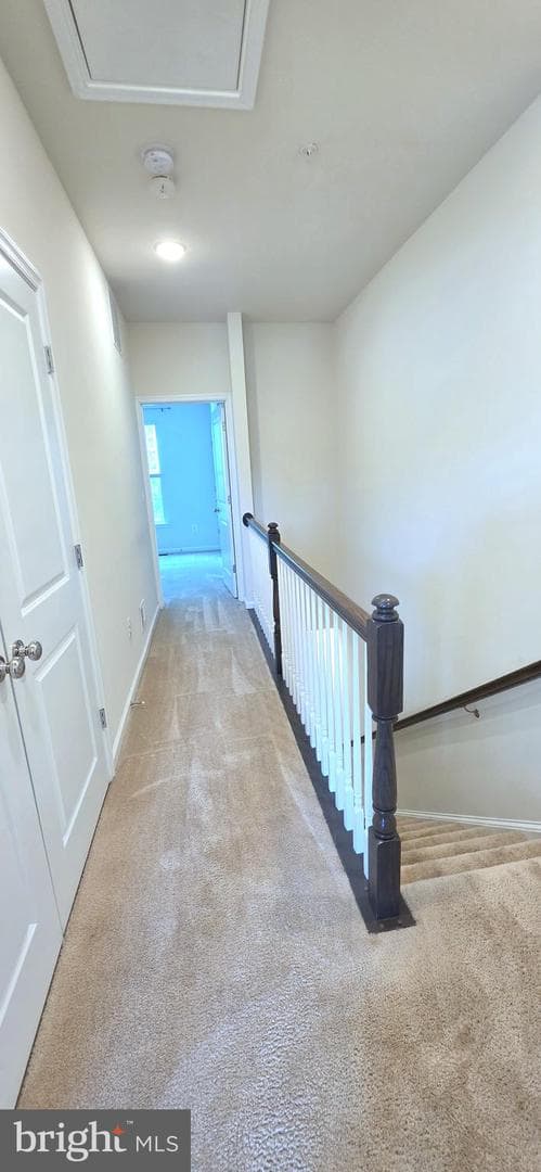 2914 Koens Court photo 17