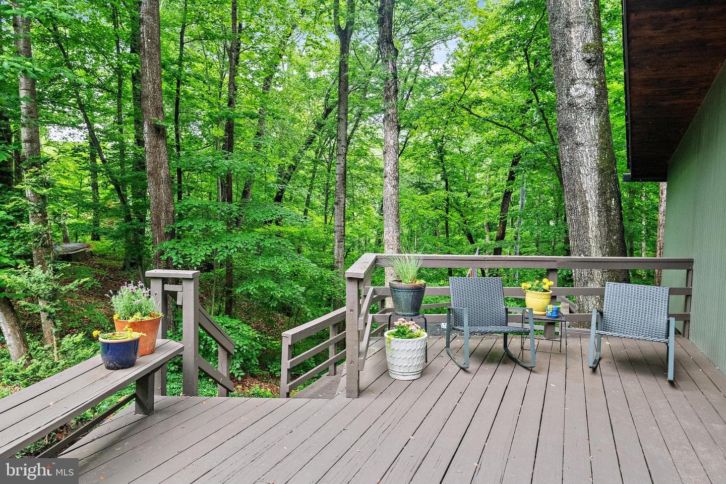 1689 Alice Court photo 43