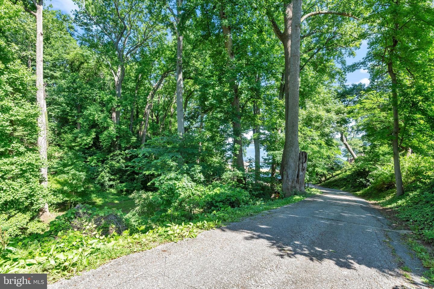 2997 Dogwood Trail photo 59