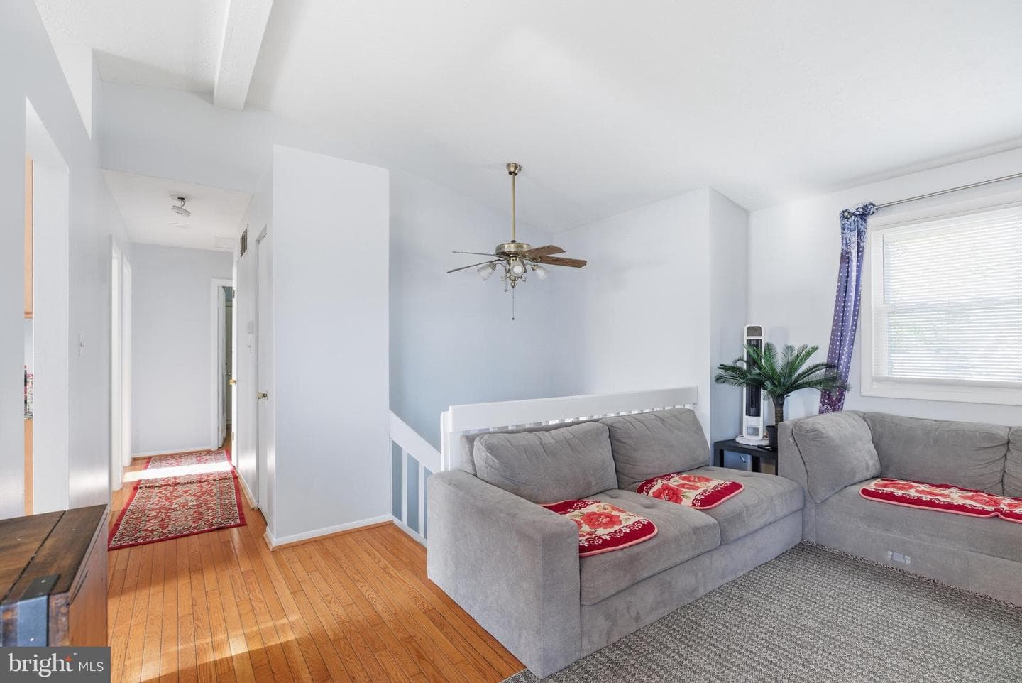 530 Delmar Avenue photo 5