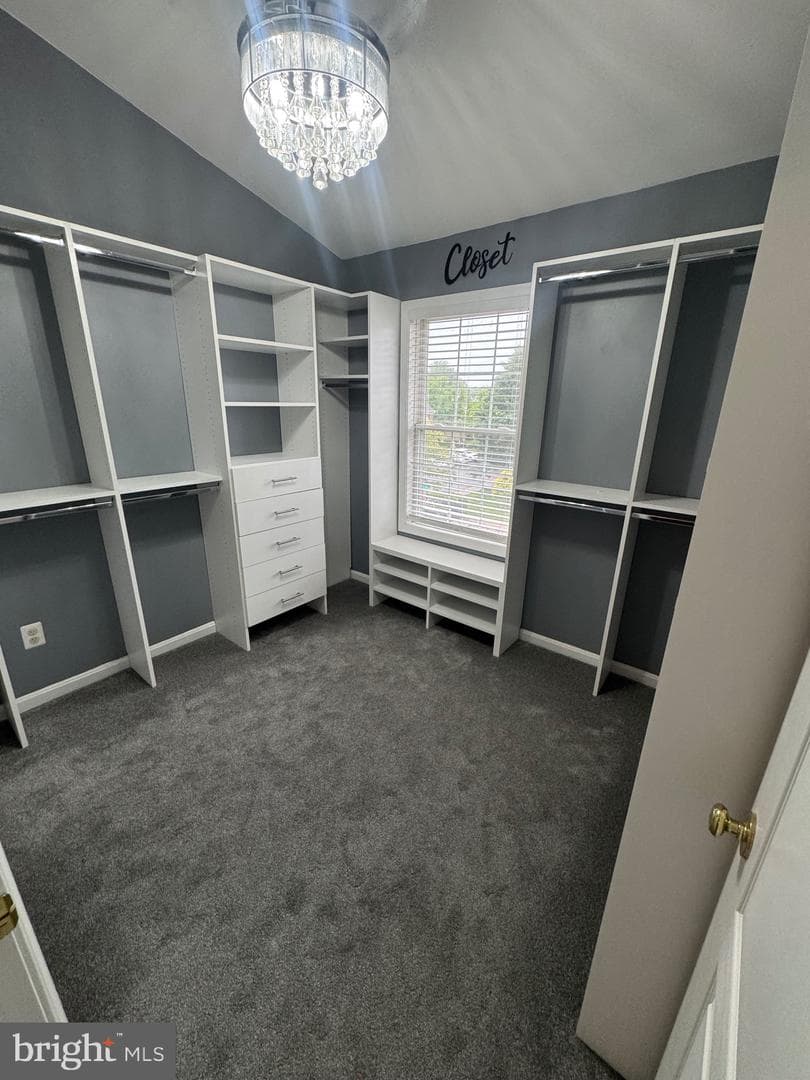 7705 Periwinkle Way #71 photo 25