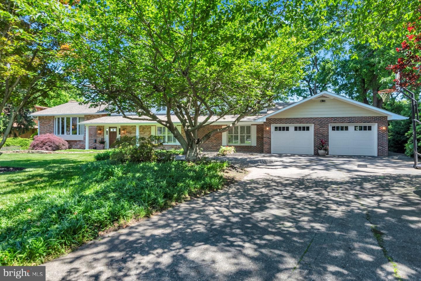 893 Mallard Circle photo 5