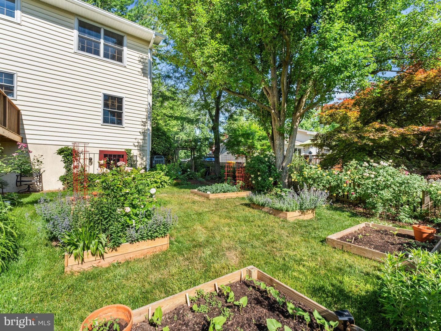 1123 Neptune Place photo 35