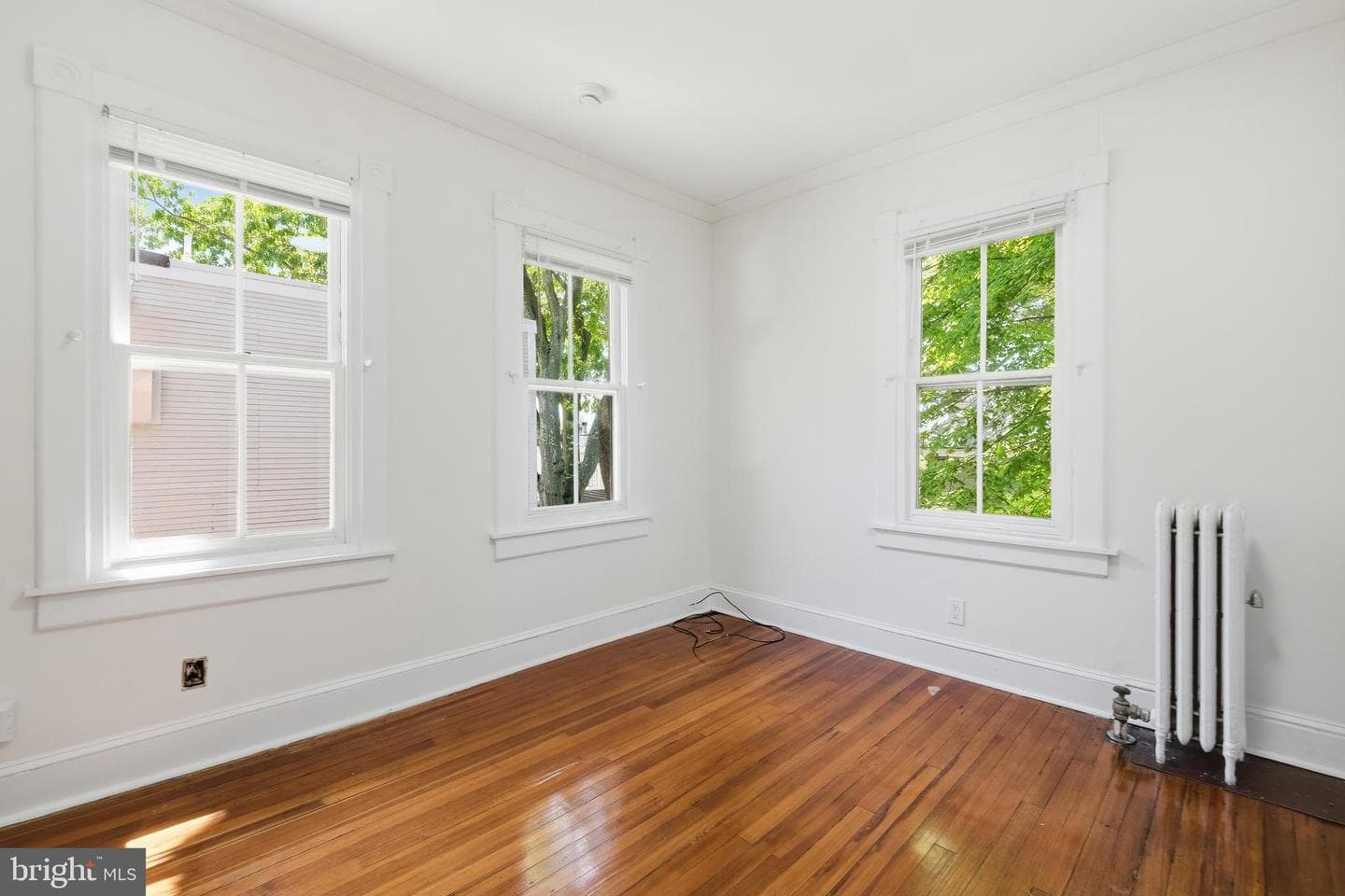 87 Shipwright Street photo 23