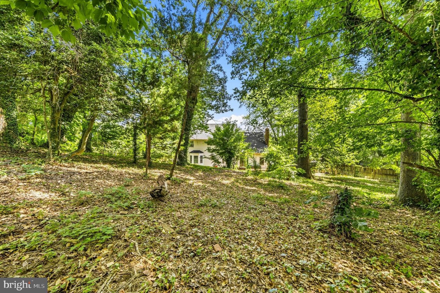 907 Golden Eye Court photo 48