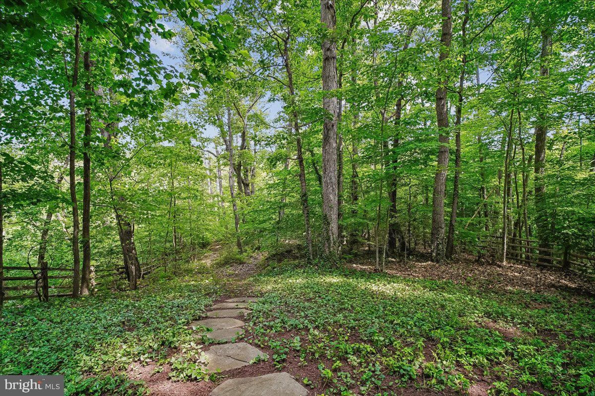 120 Kingswood Road photo 47