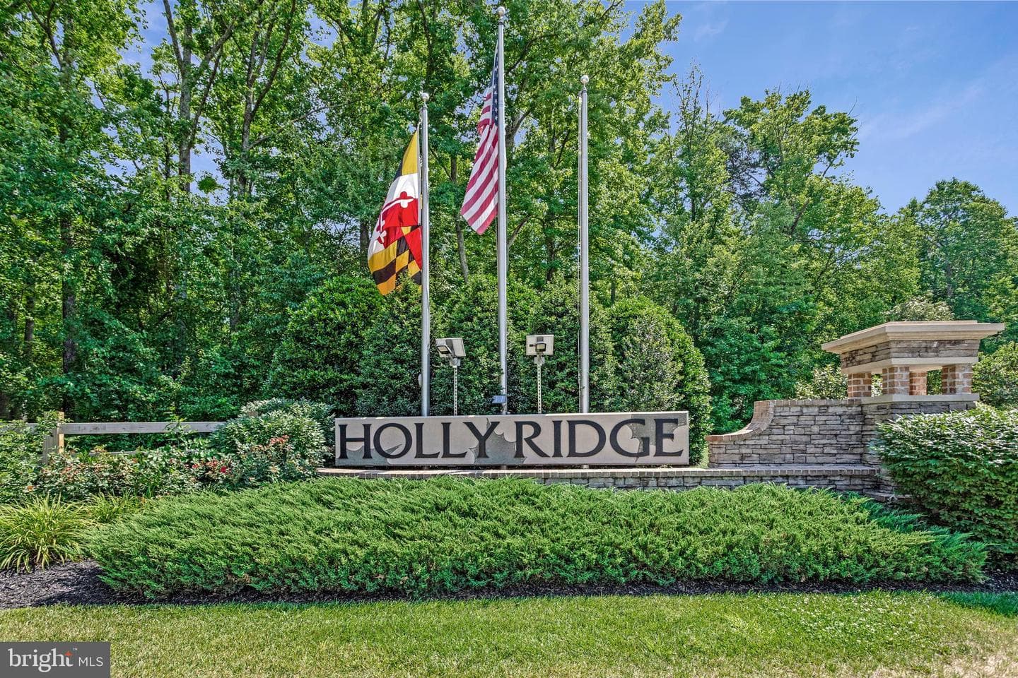 513 Holly Ridge Way photo 38