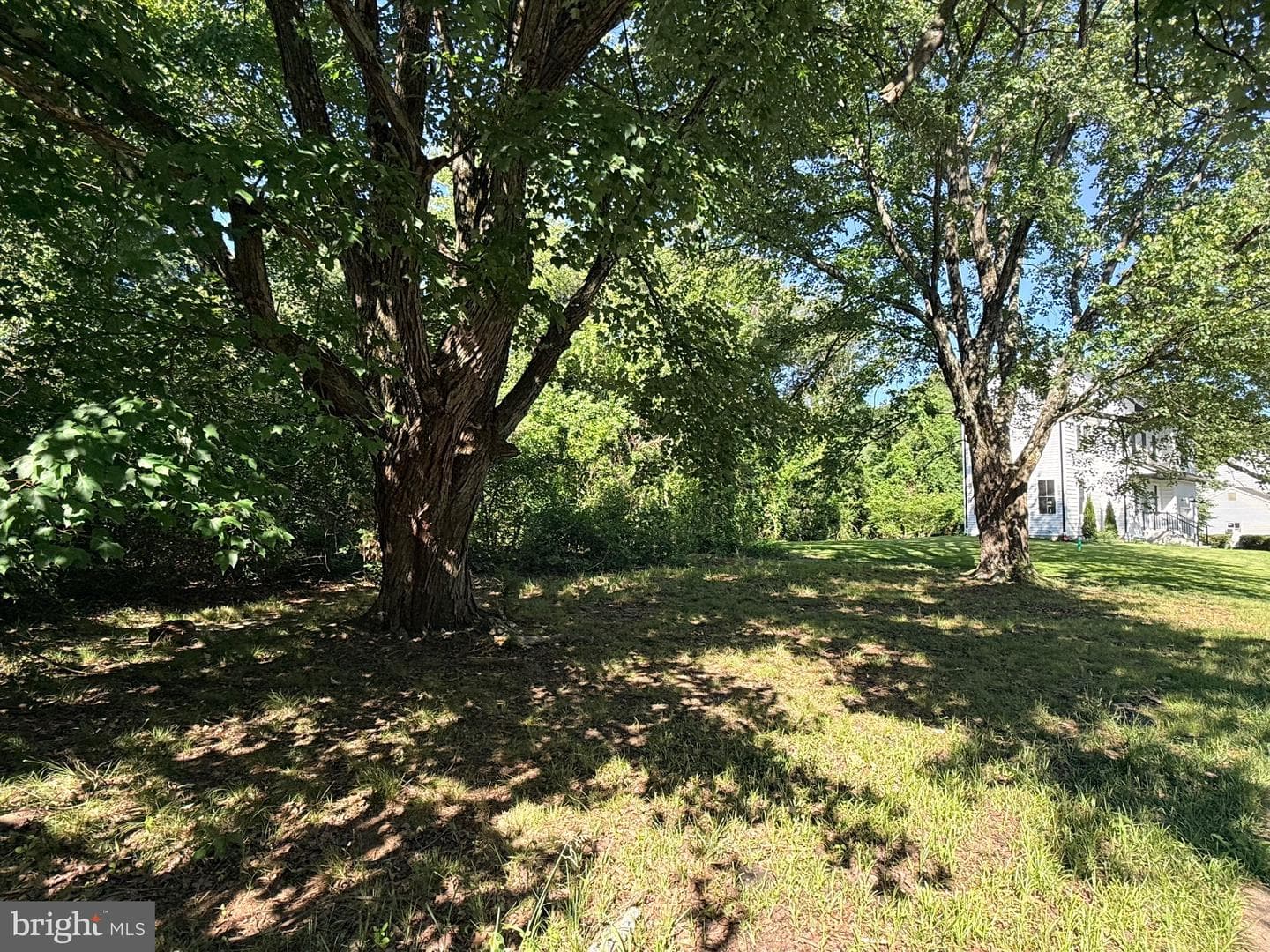 84b Kennedy Drive photo 31