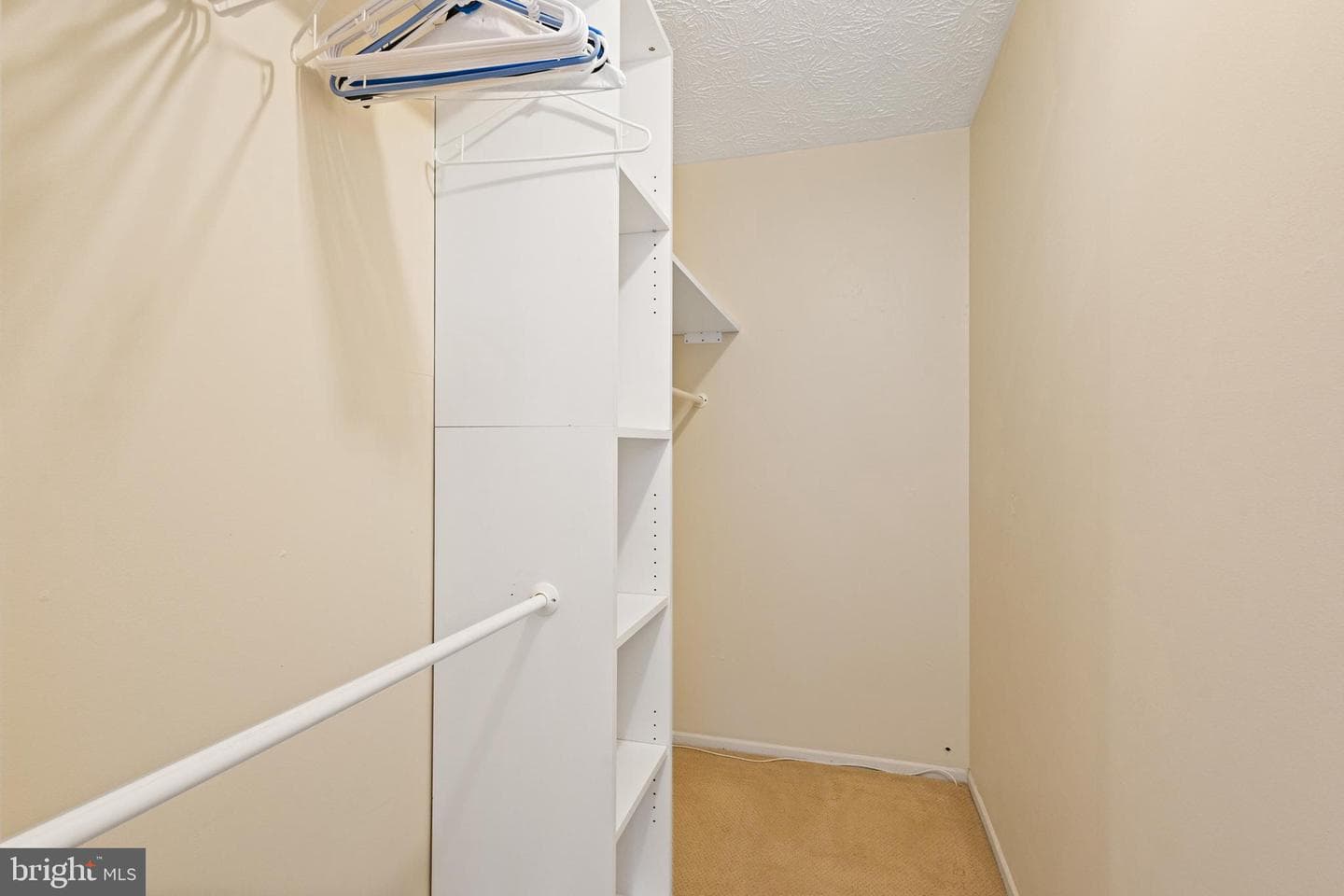 1551 Star Pine Drive photo 15