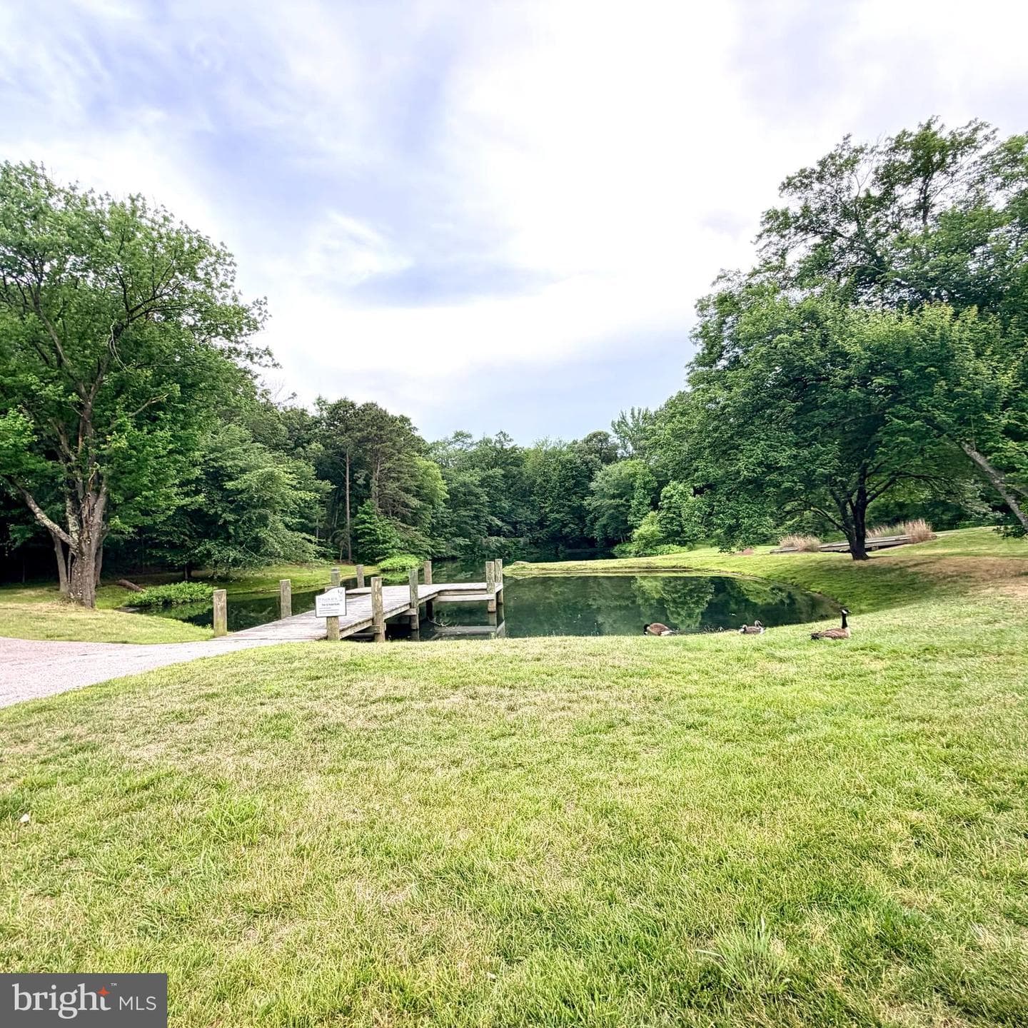 8306 Kippis Road photo 72