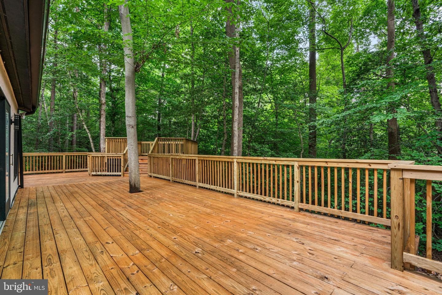 1185 Harbor Oak Dr photo 16