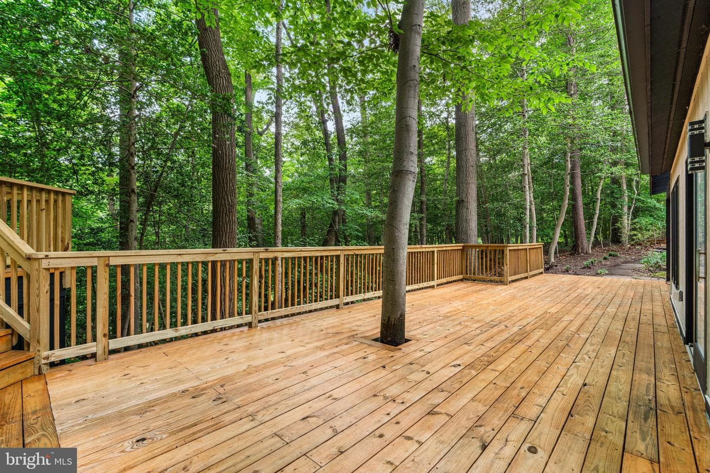 1185 Harbor Oak Dr photo 6