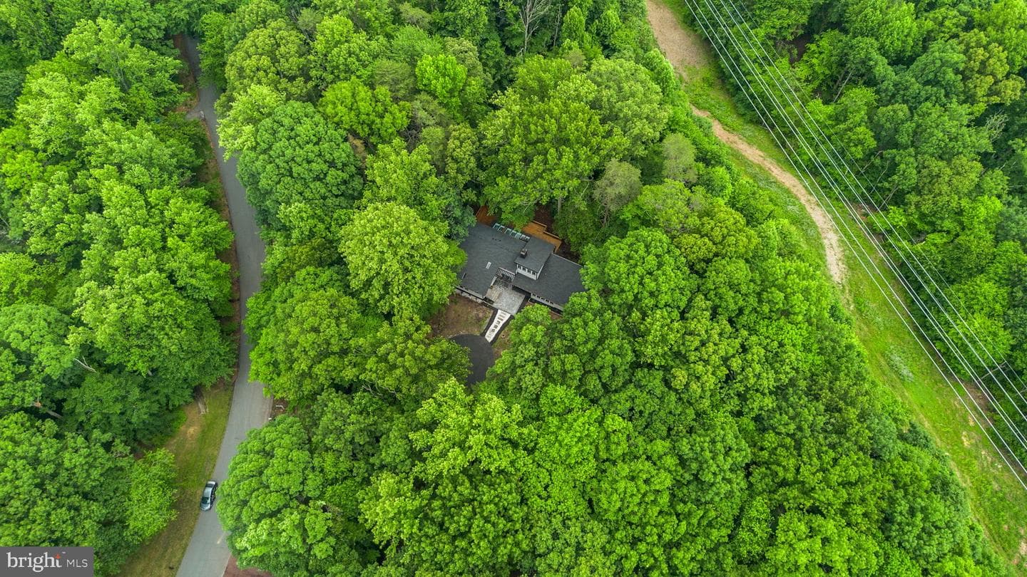 1185 Harbor Oak Dr photo 67