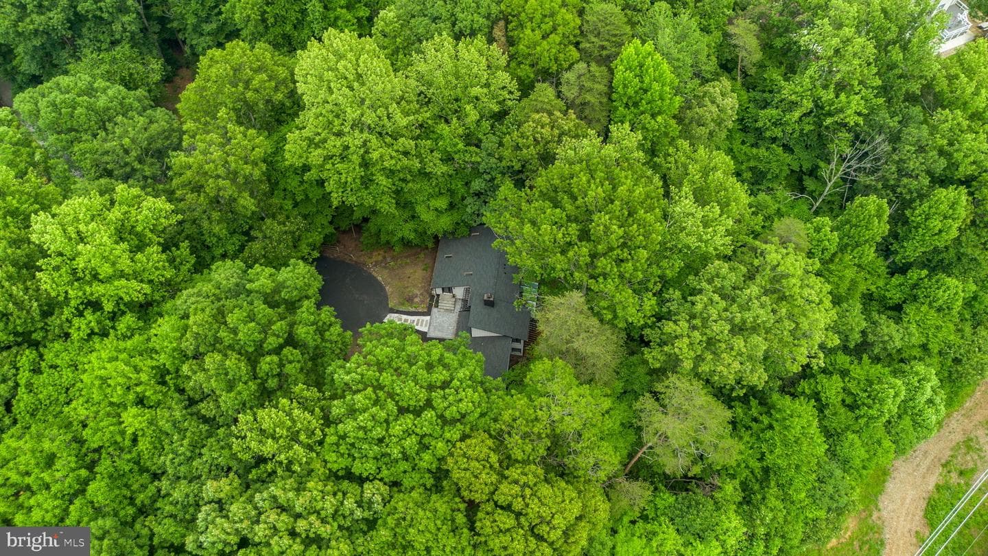 1185 Harbor Oak Dr photo 7