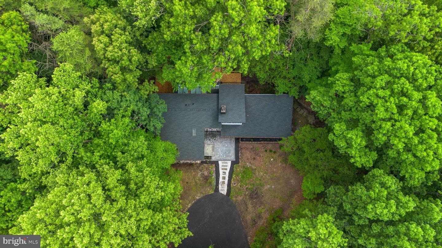 1185 Harbor Oak Dr photo 8