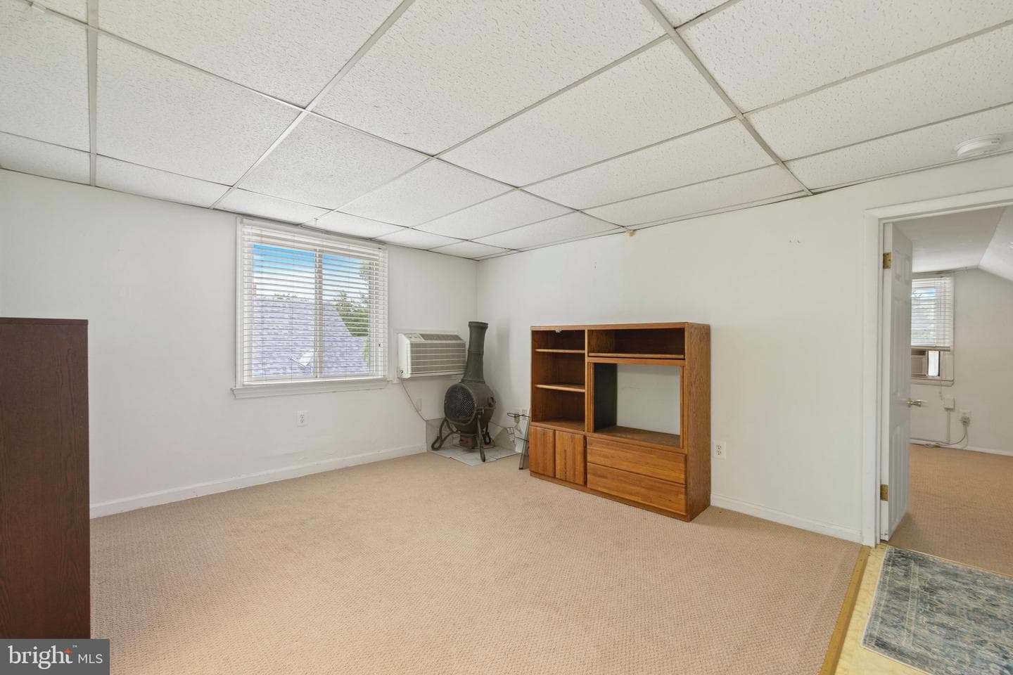 207 Hance Avenue photo 33