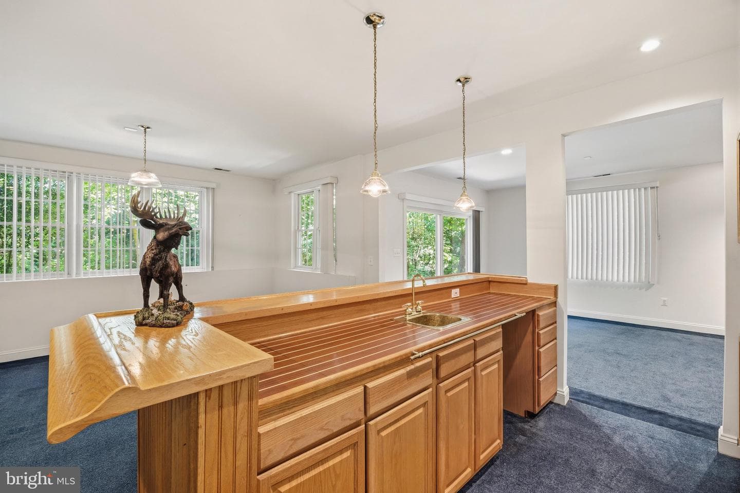 1135 Goldfinch Lane photo 62