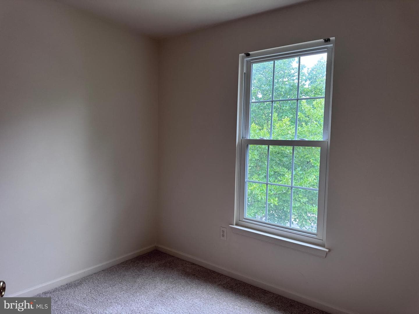 2611 Cedar Elm Drive photo 23