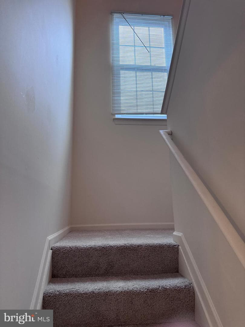 2611 Cedar Elm Drive photo 27