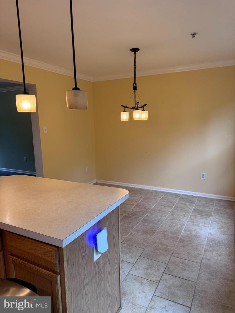 2611 Cedar Elm Drive photo 8