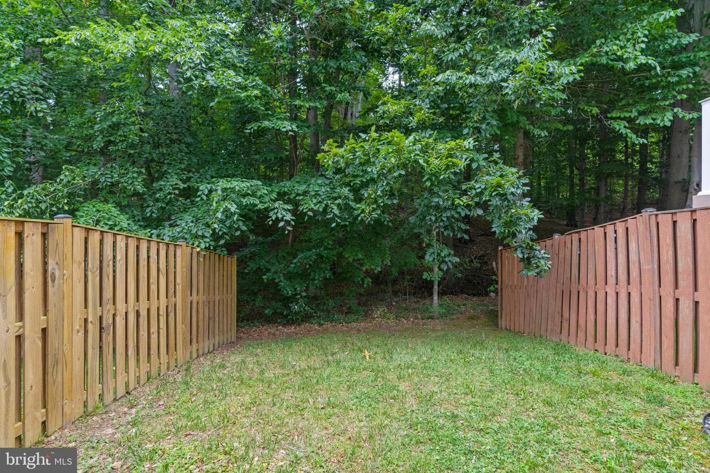 2431 Killarney Ter photo 39