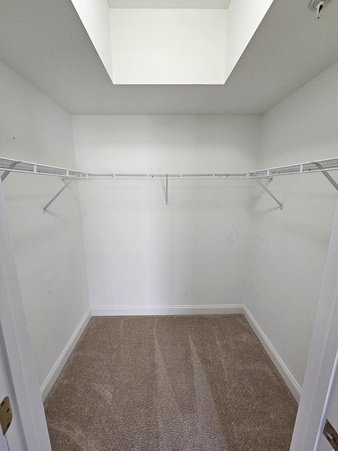 8535 Veterans Highway #204 photo 11