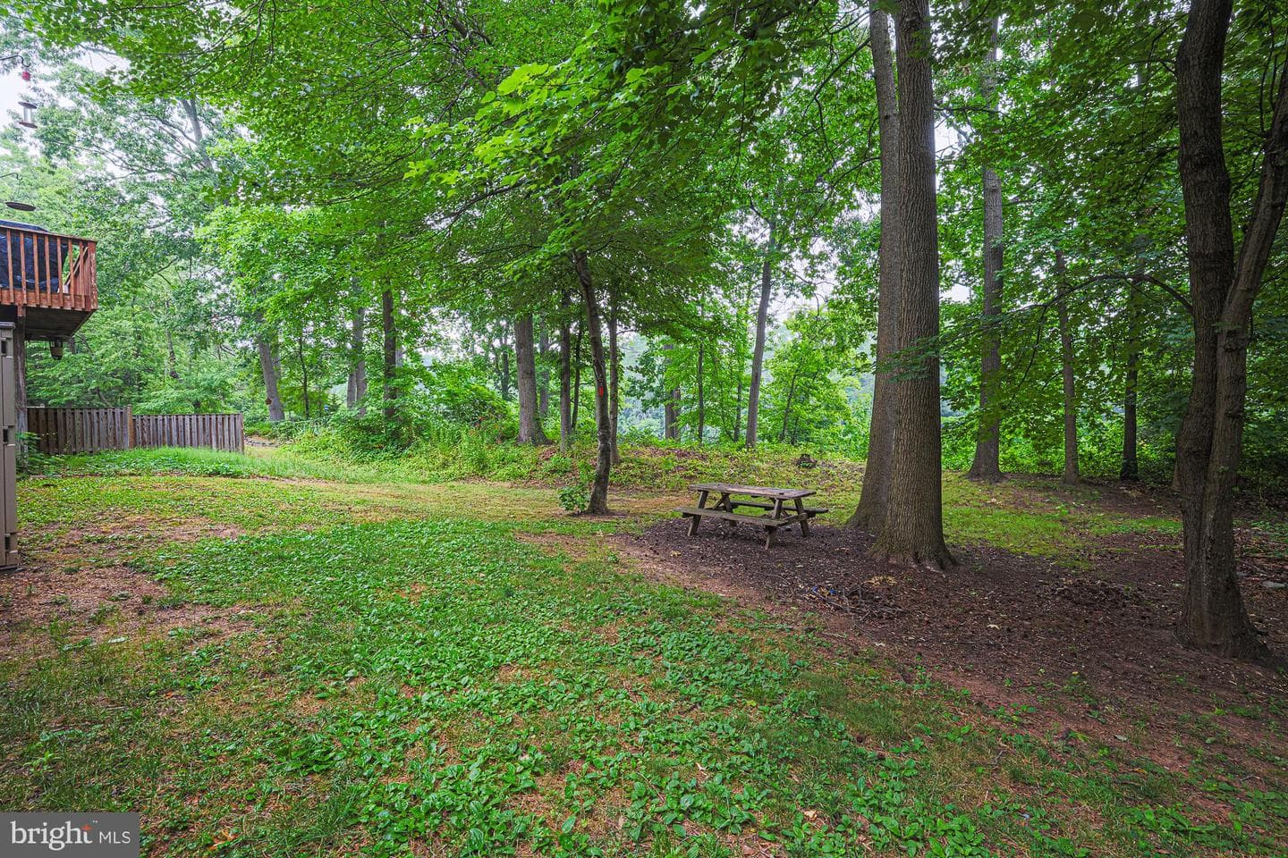 1334 Hollow Glen Court photo 41