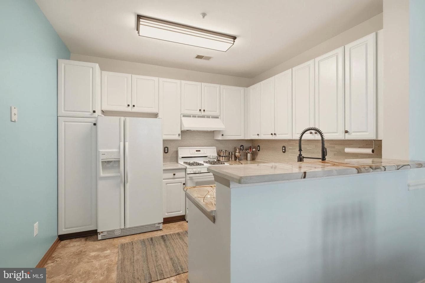 8721 Spring Brook Way photo 7