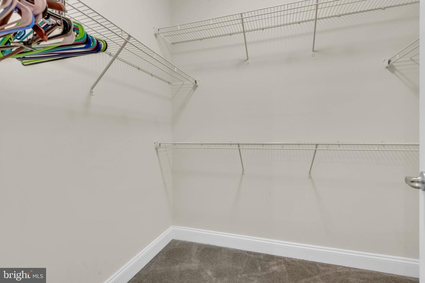 7278 Dorchester Woods Lane photo 16