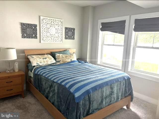 8643 Saint Anthony Drive photo 28