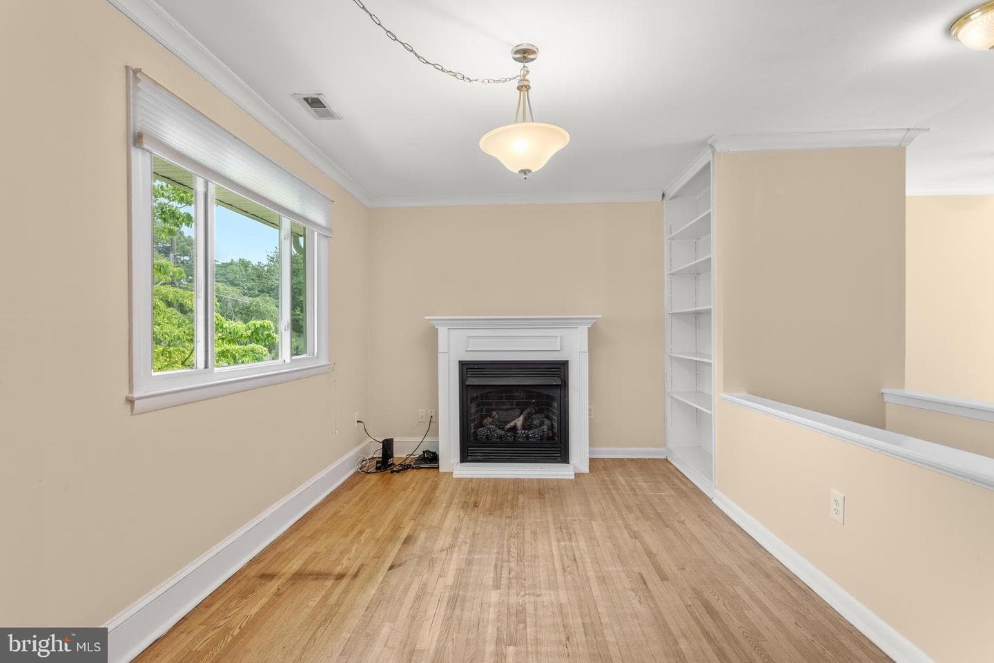 1099 Linden Tree Drive photo 12