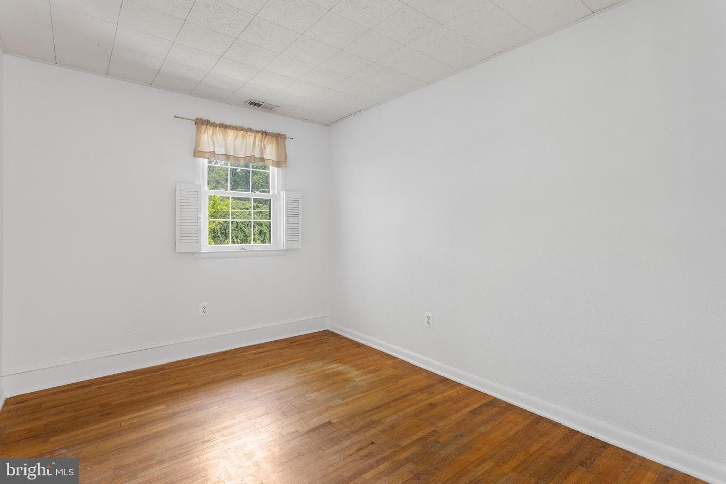 1099 Linden Tree Drive photo 18