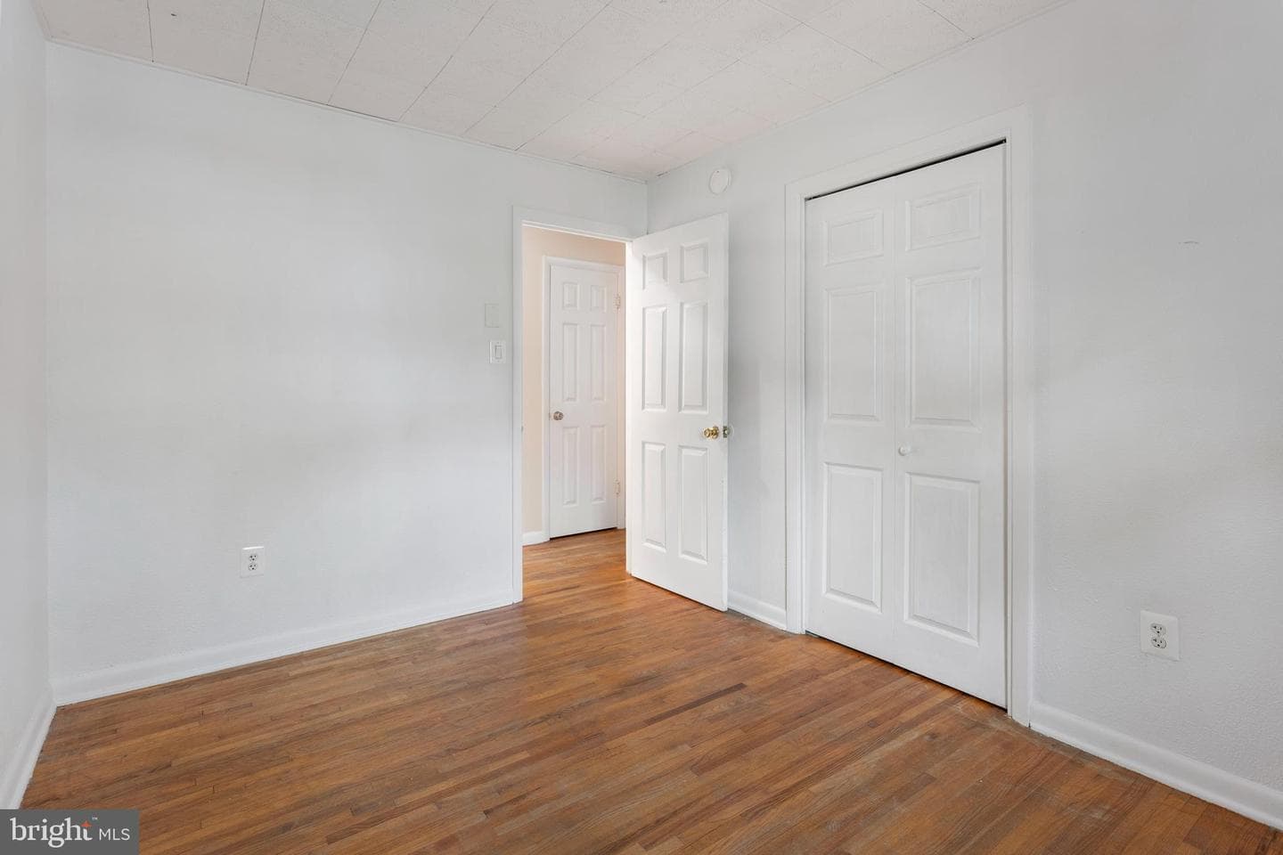 1099 Linden Tree Drive photo 20