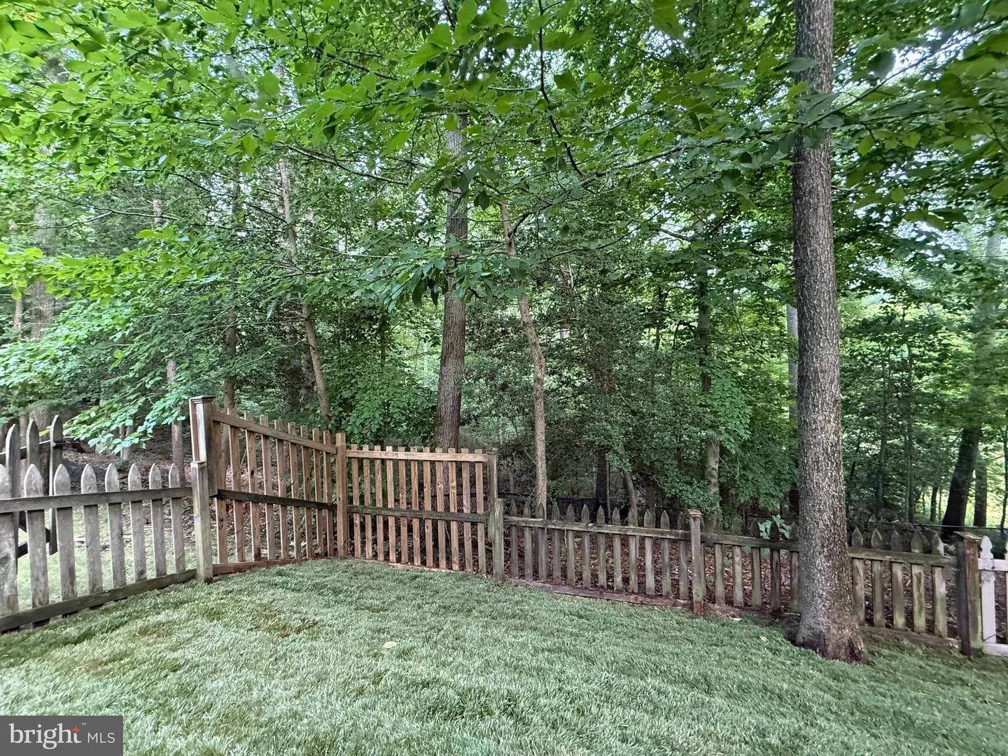 126 Gilbert Court photo 26