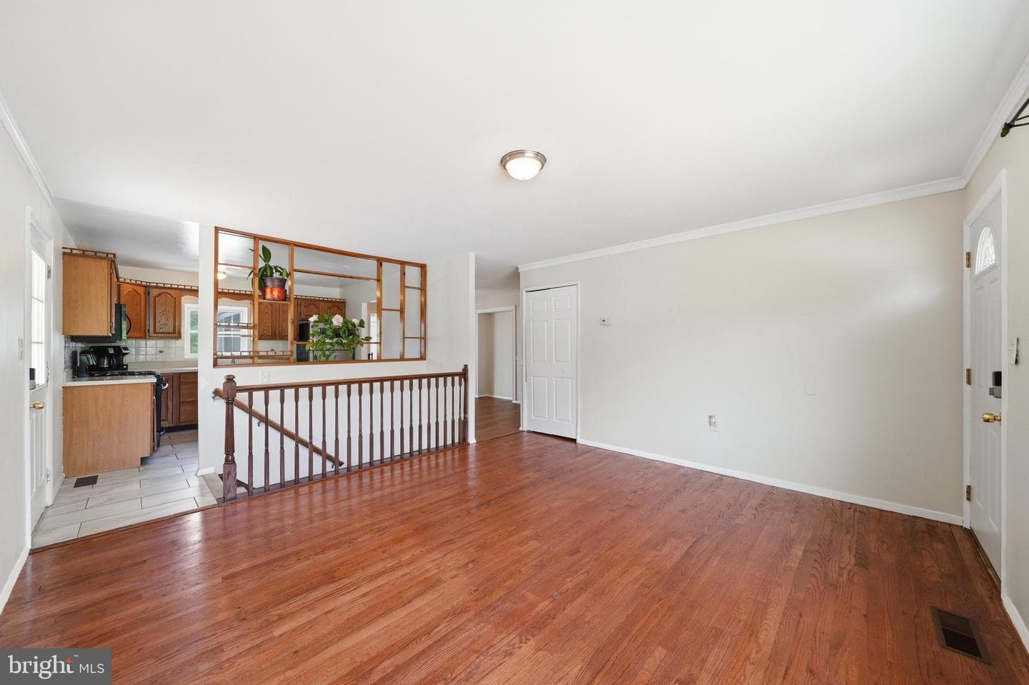 3391 Horsehead S photo 6