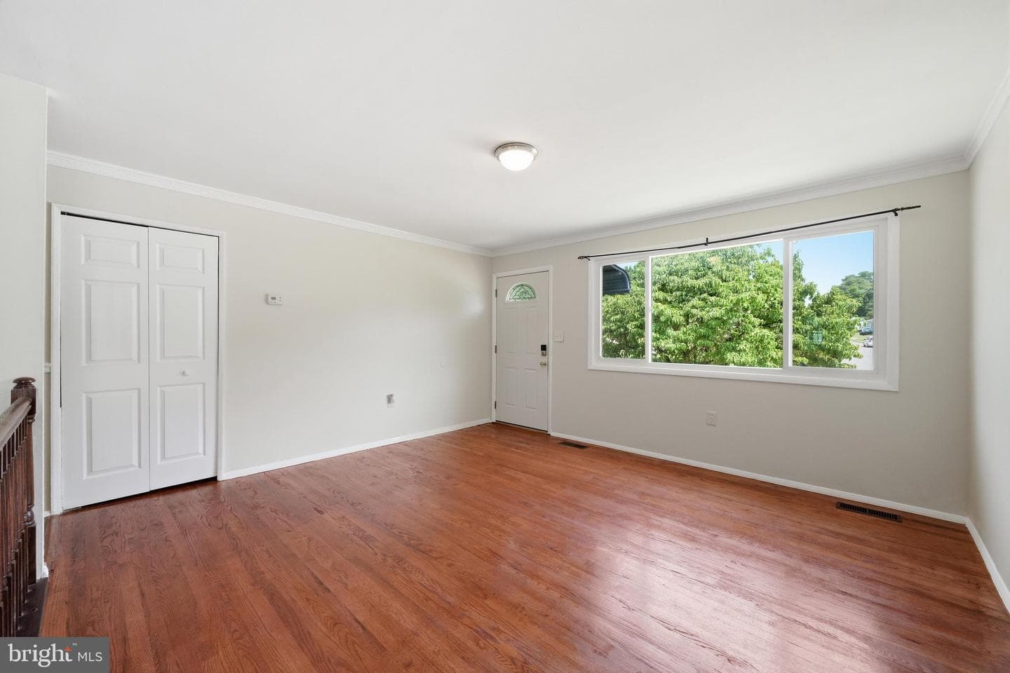 3391 Horsehead S photo 7
