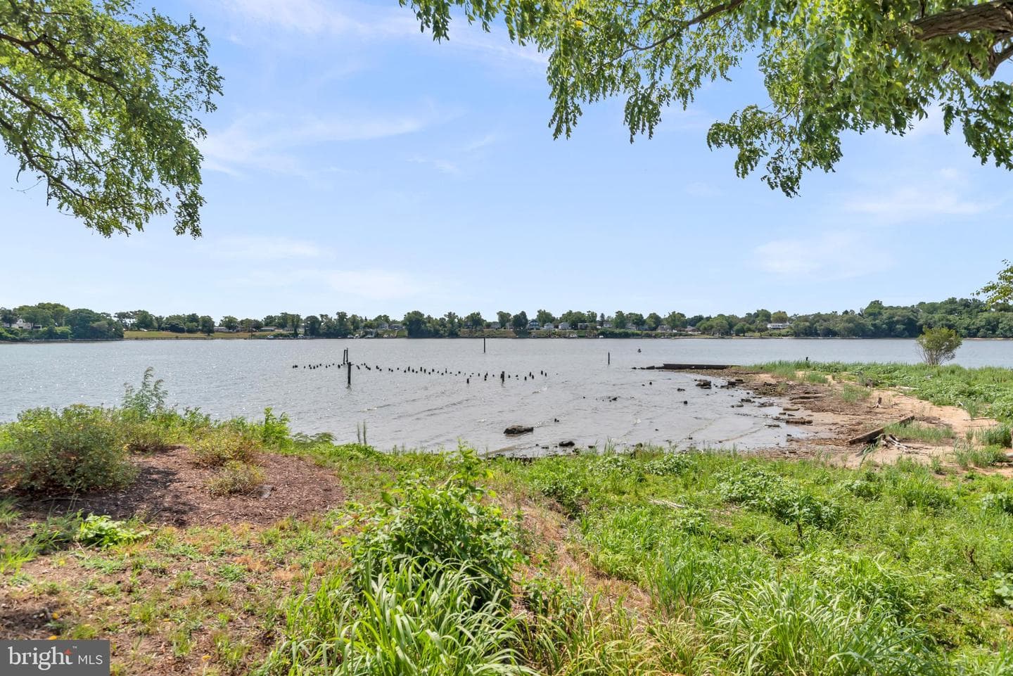 1315 Cox Cove Court photo 58