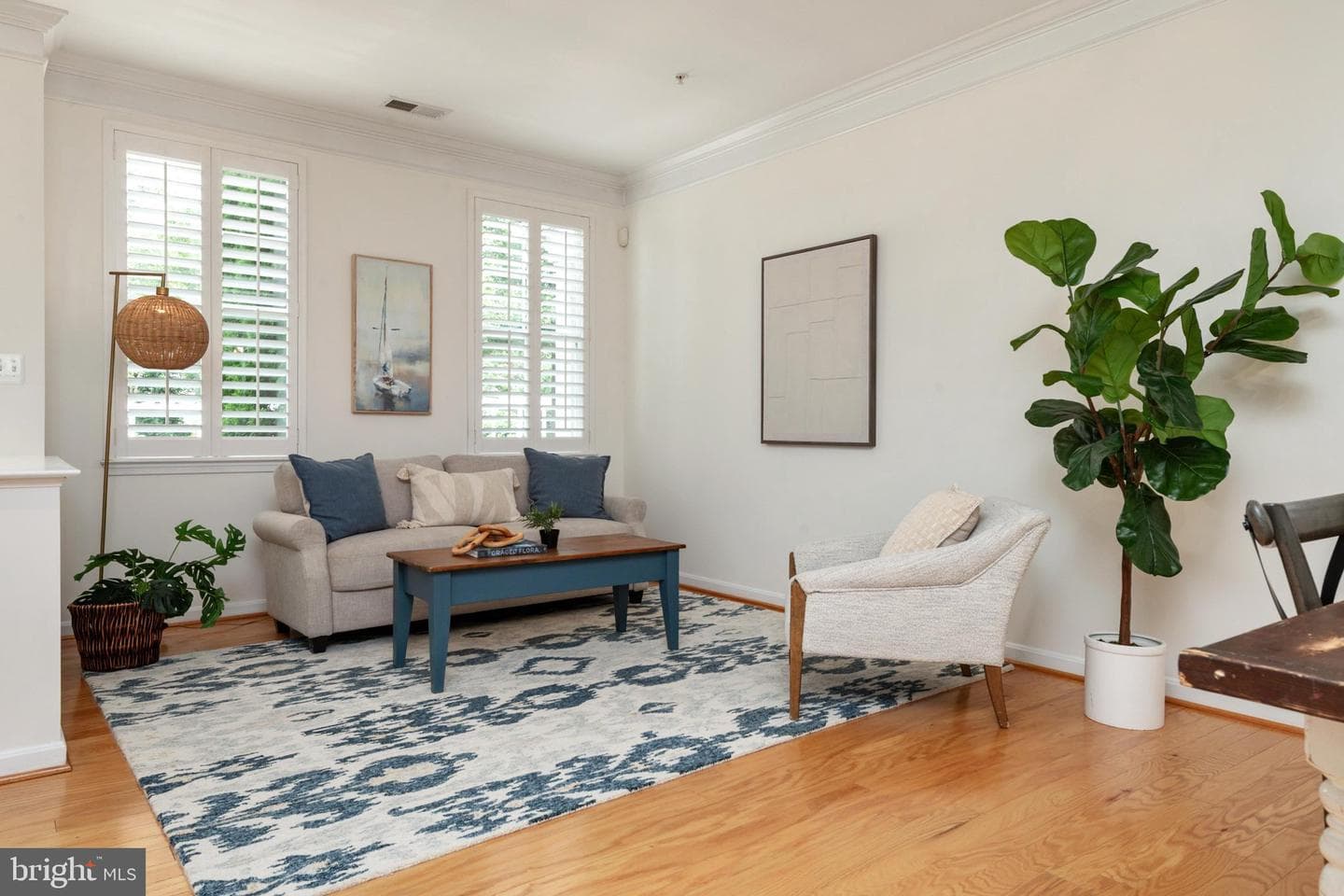 21 Boucher Place photo 5
