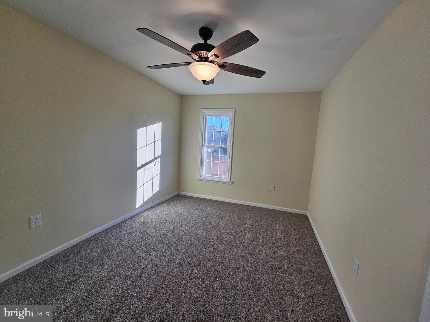 219 Carroll Street photo 31
