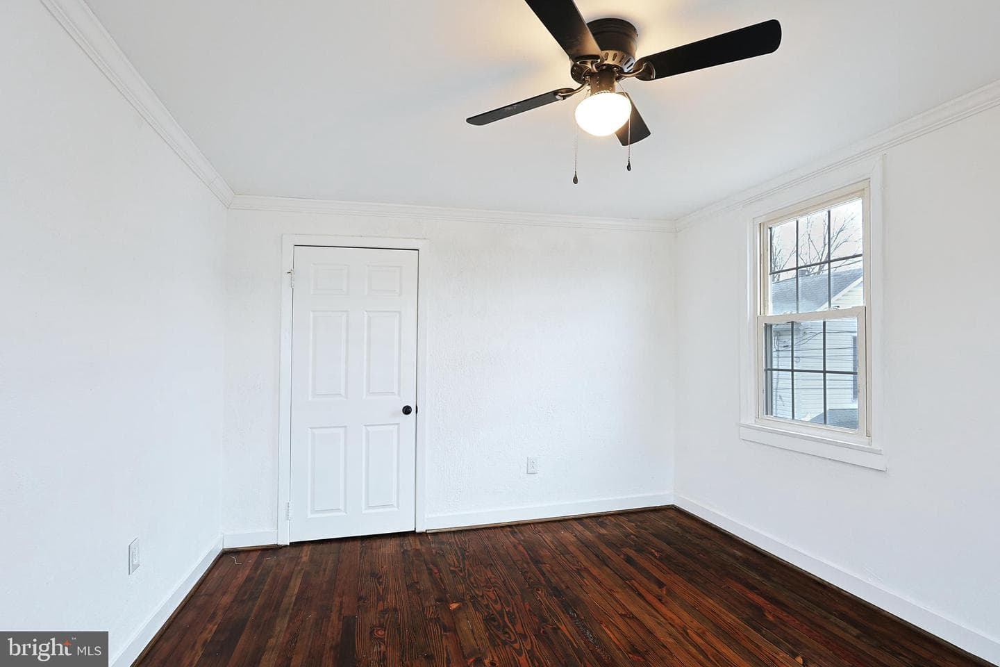 409 Springdale Street photo 50