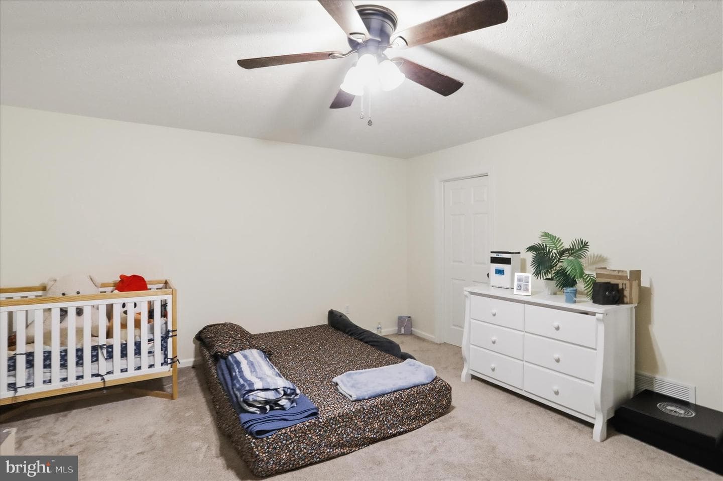20 Doris Street photo 21