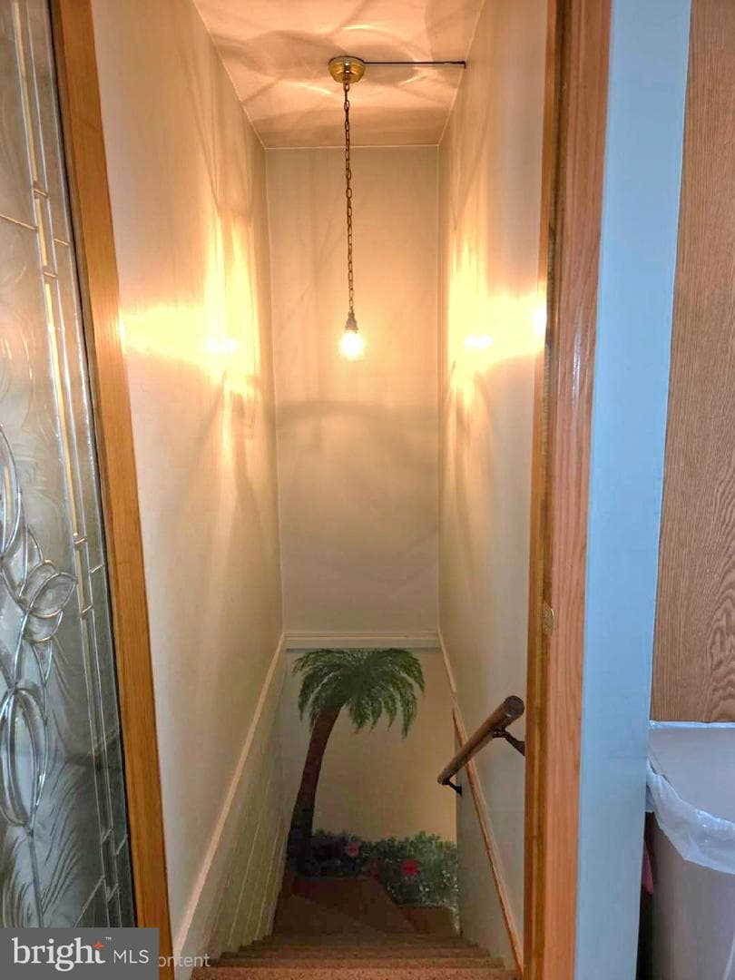 203 Wempe Drive photo 35