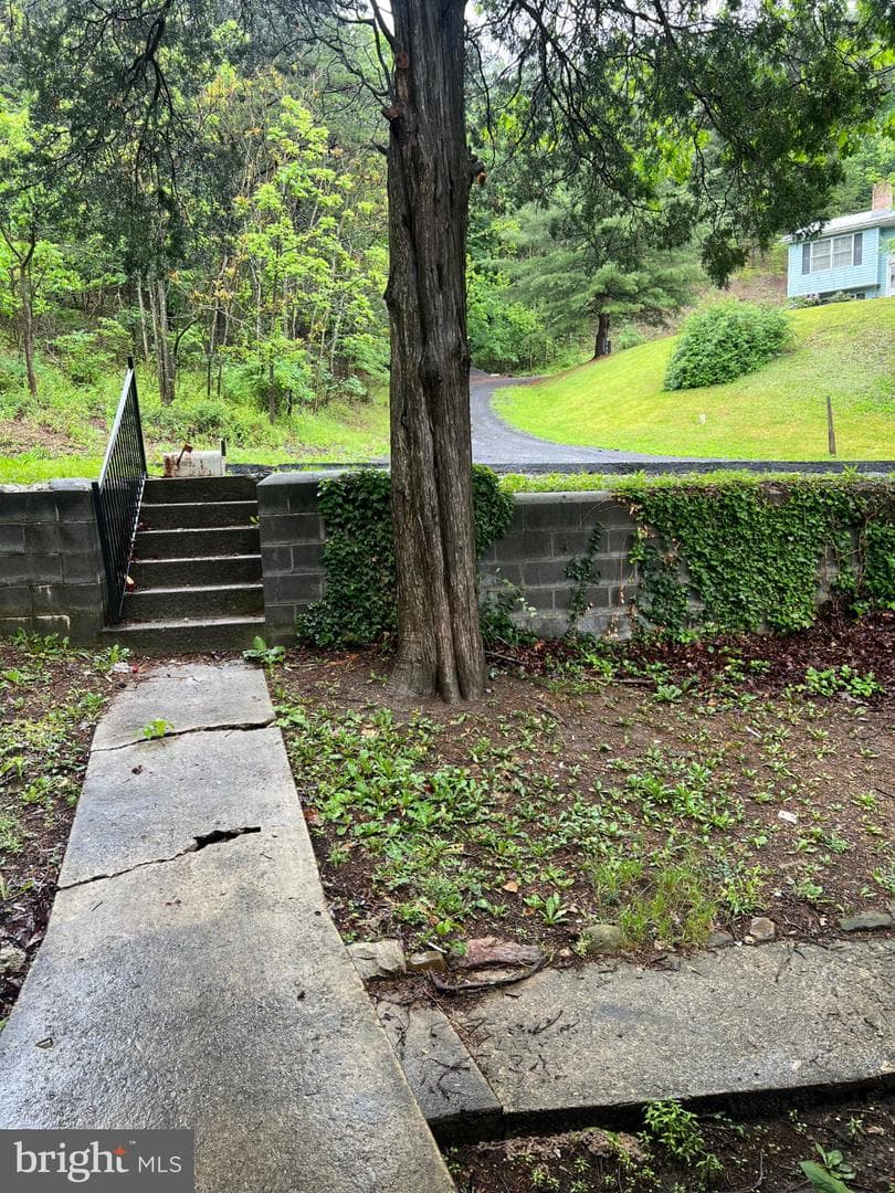 1034 Shades Lane photo 4
