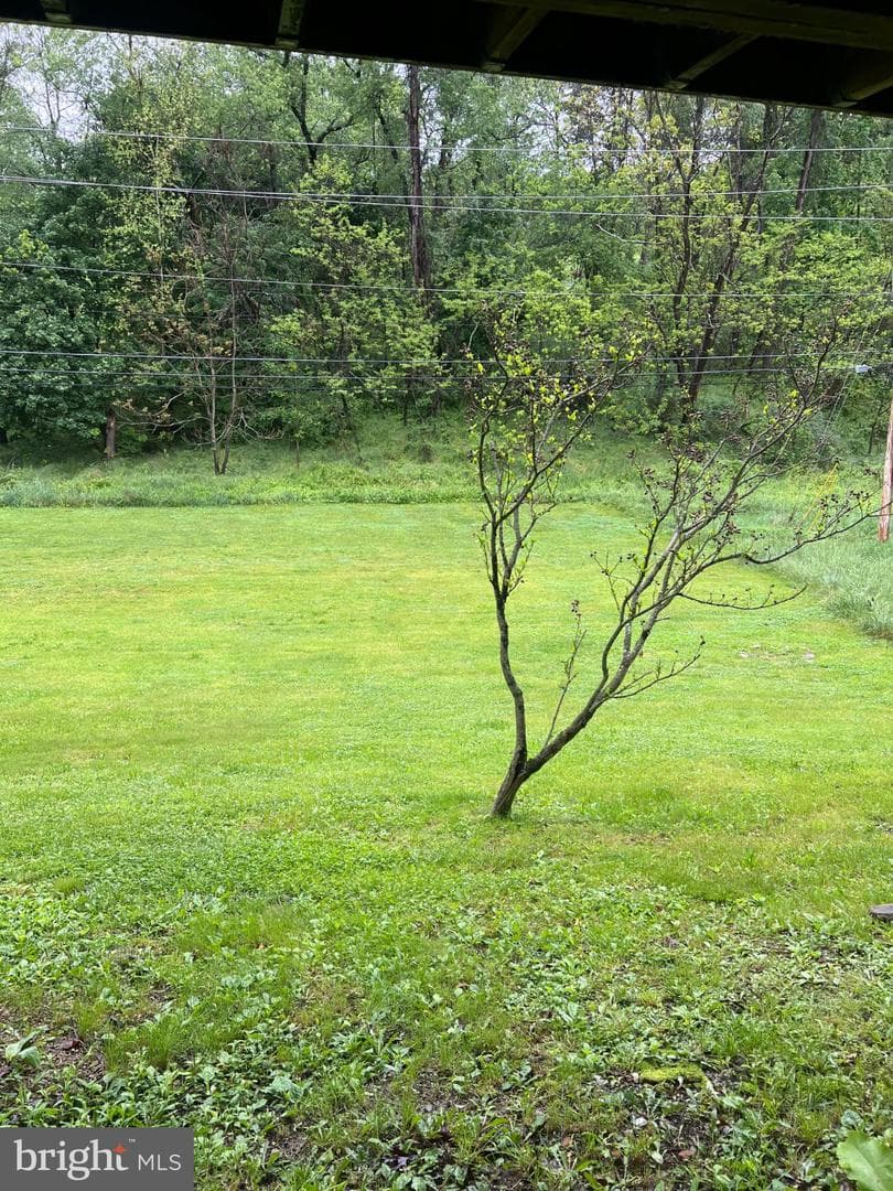 1034 Shades Lane photo 7