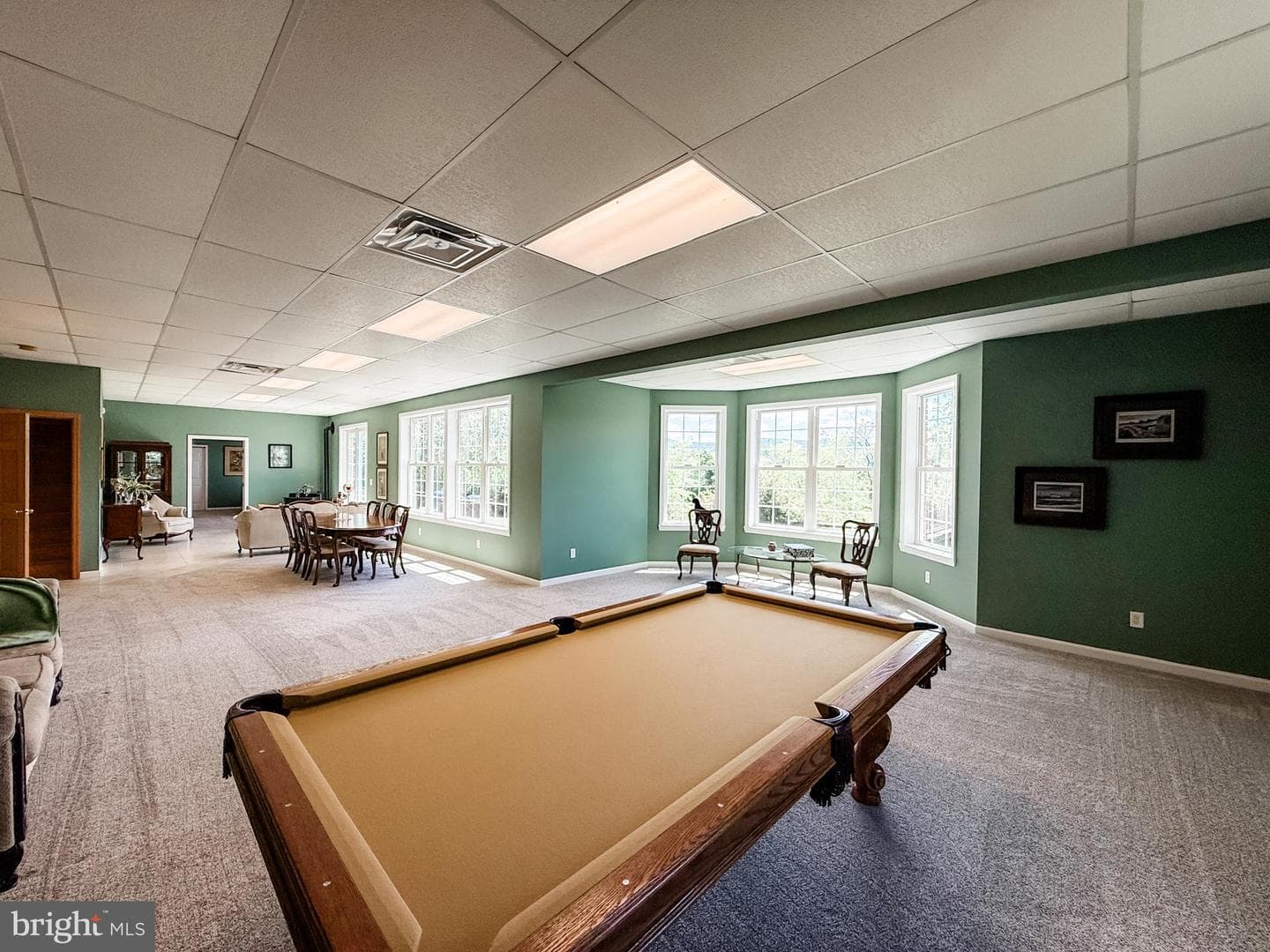10002 Carrington Court photo 50