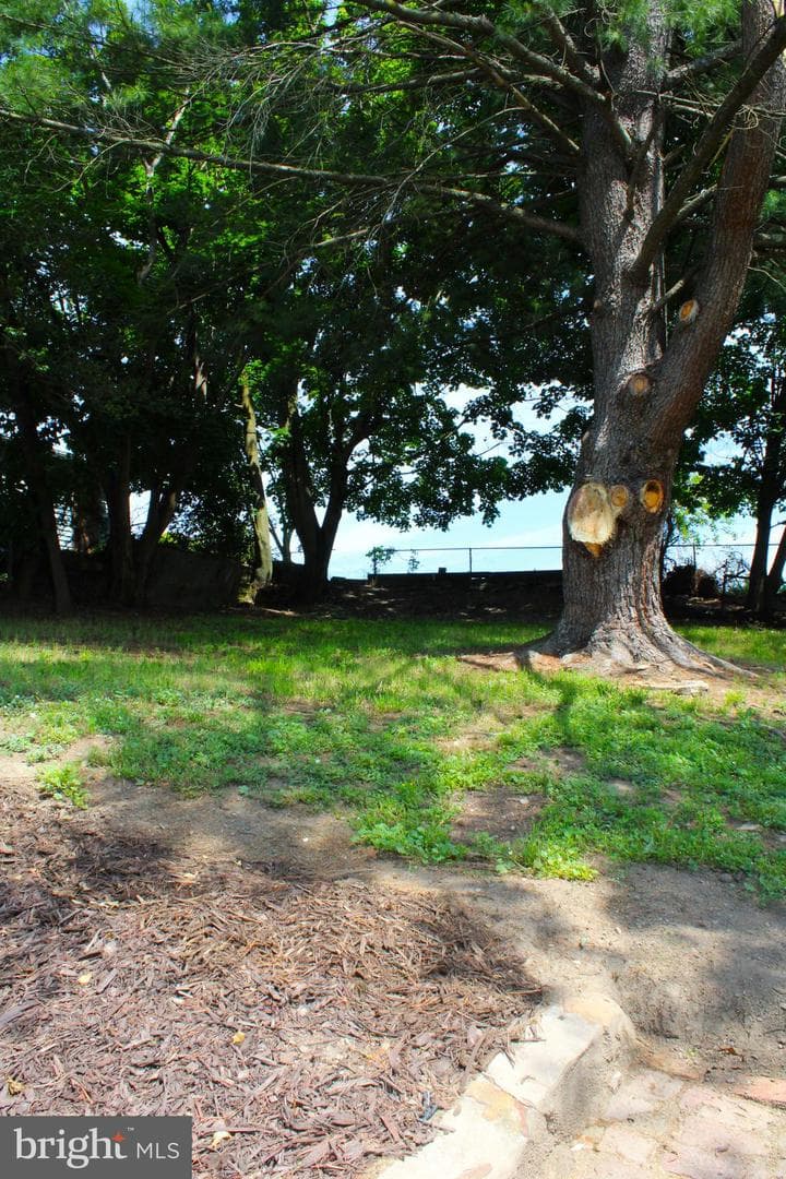 514 Baltimore Avenue photo 25