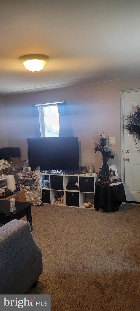 7 Bellevue Street photo 6