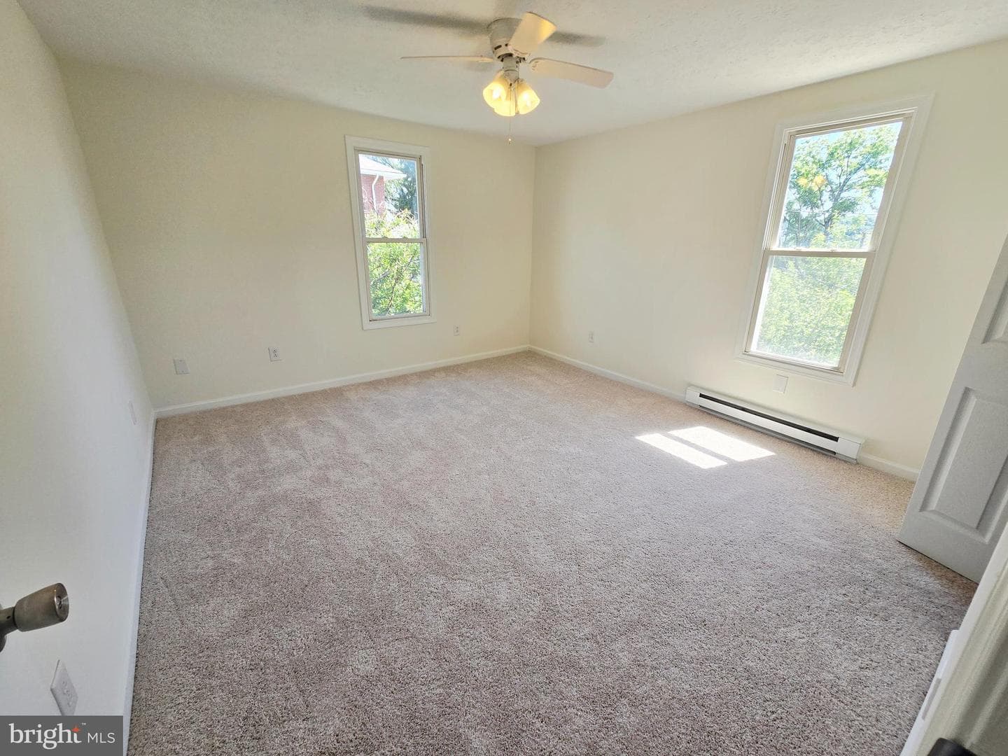 229 Carroll St photo 15