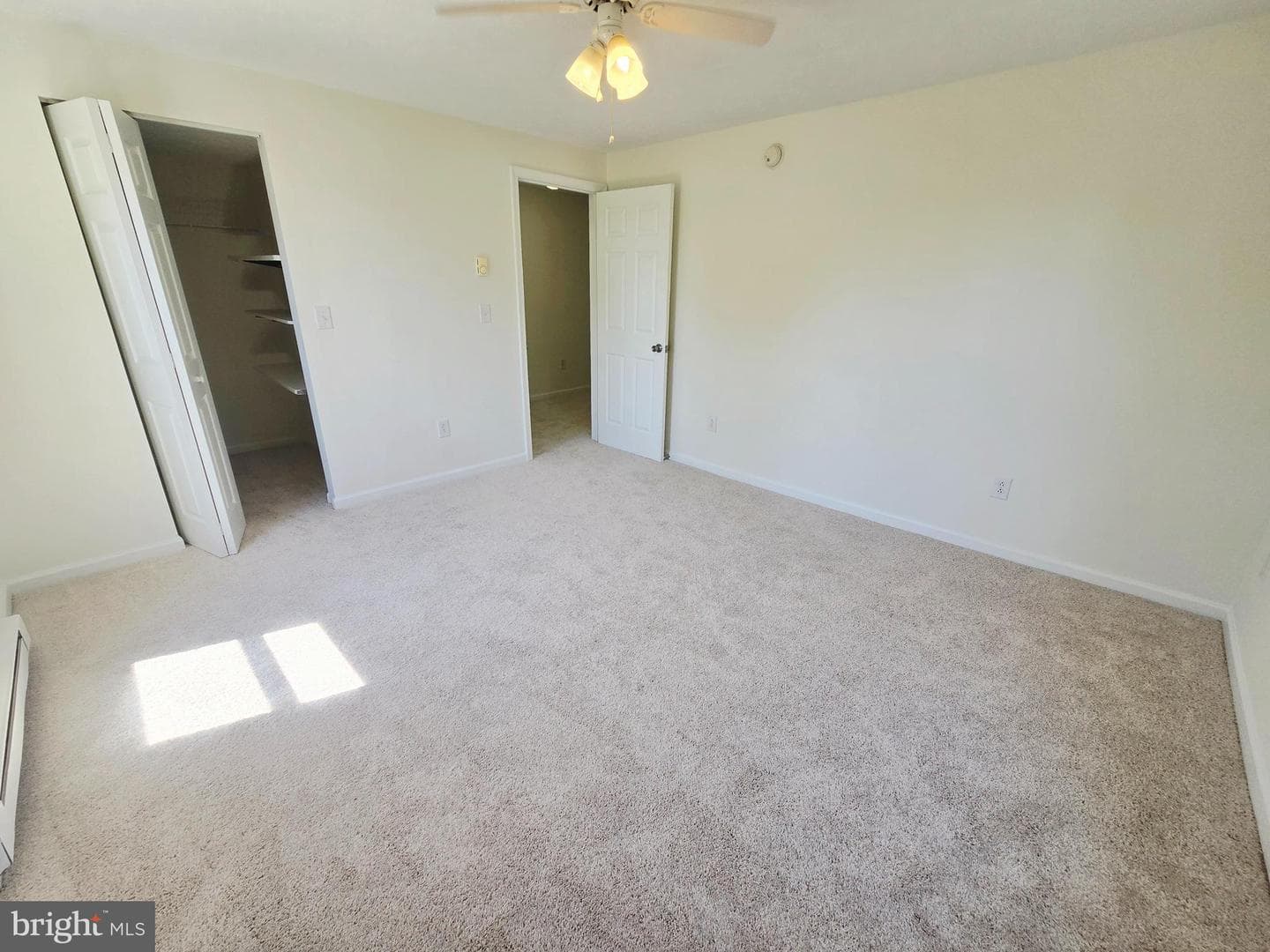 229 Carroll St photo 16
