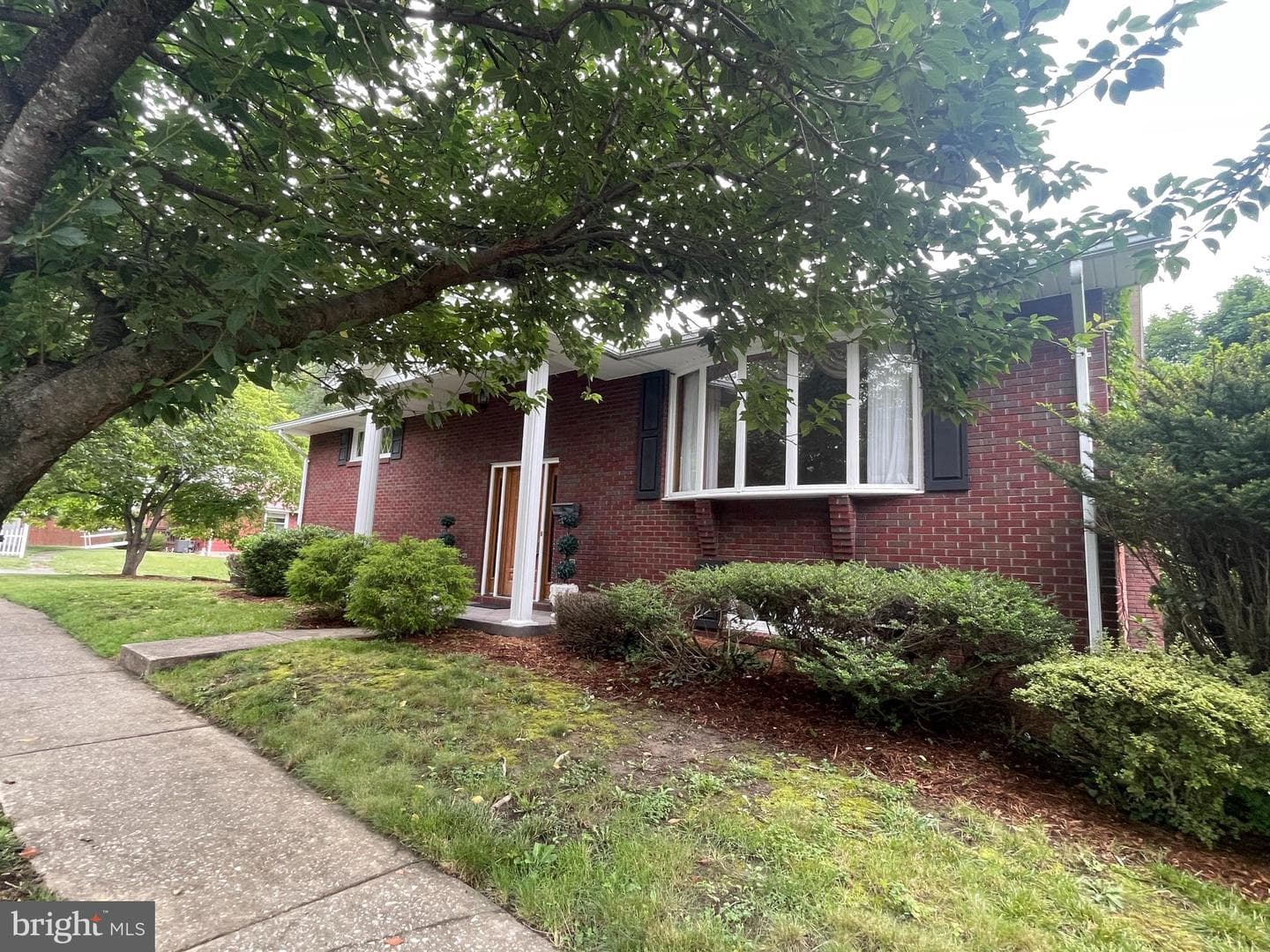119 Wilmont Avenue photo 34